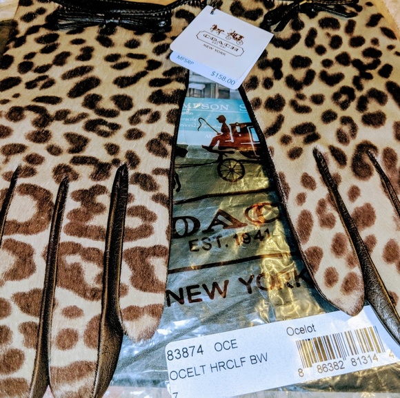 Coach Accessories - COACH OCELT  GLOVES
